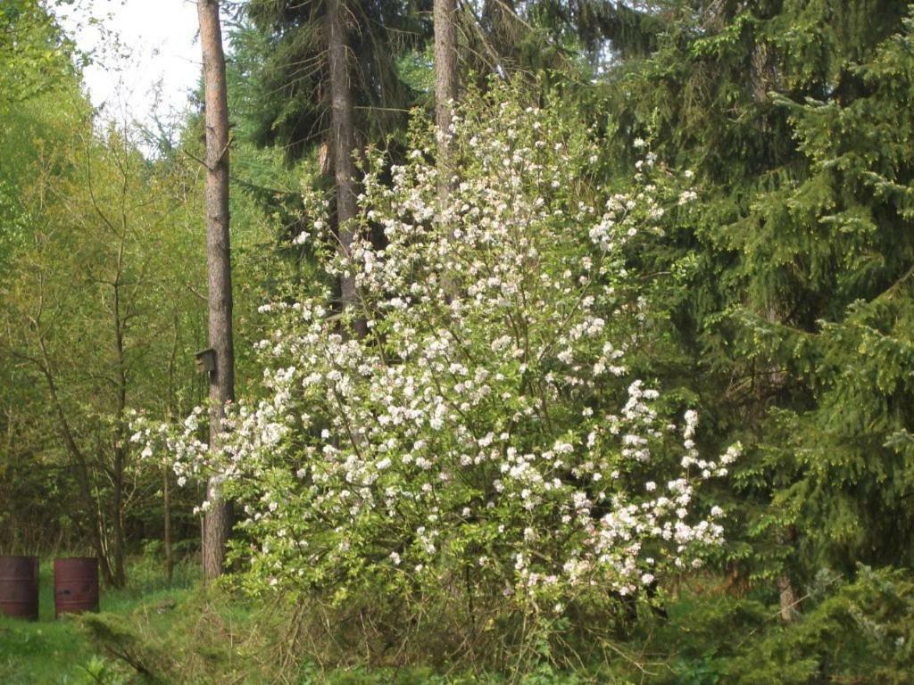 Huus Ton Witten Barg Lejlighed Undeloh